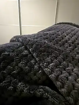 Snapshot of Hardmard chatting on December 2024 03:41:01 PM Hardmard online show from December 2024 03:41:01 PM