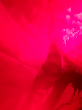 Snapshot of Lord-Sloppy chatting on December 2024 03:41:01 PM Lord-Sloppy online show from December 2024 03:41:01 PM