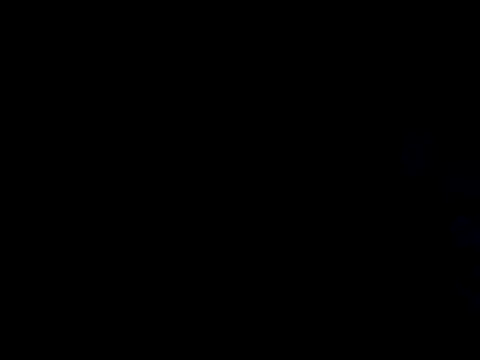 ditchwater online show from February 2025 11:47:02 AM