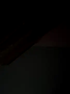 paisa233 online show from September 2025 03:08:02 AM