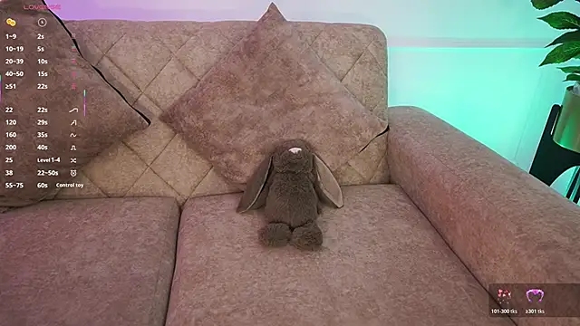 Anybuny online show from February 2026 12:37:01 PM