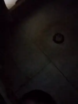 brownfeet online show from March 2025 08:29:01 AM