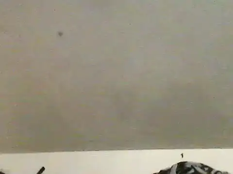 chubbybear2cum online show from February 2025 10:33:02 AM