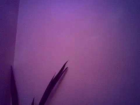 Malandralle online show from November 2025 05:29:02 AM