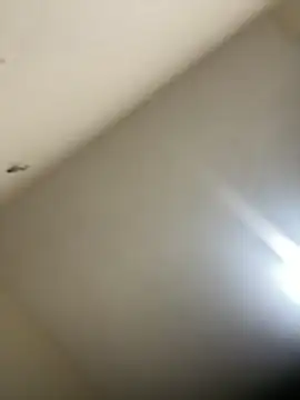 Malandralle online show from February 2026 12:11:01 AM