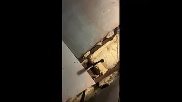 Manwhorxxlcock online show from March 2026 10:32:01 AM