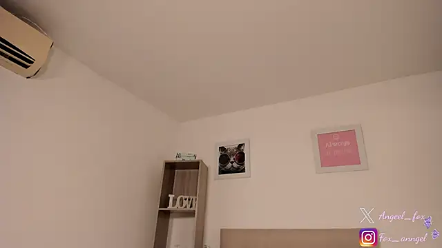 angeel fox online show from November 2025 03:28:01 AM