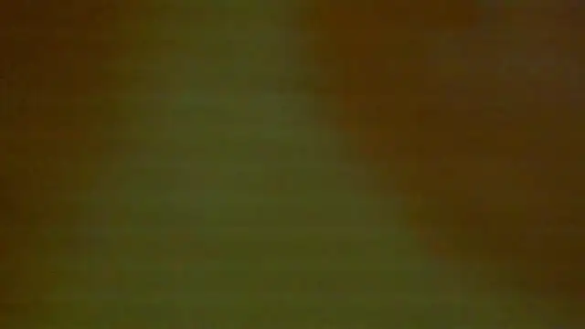 shanel taylor online show from December 2024 05:04:02 AM