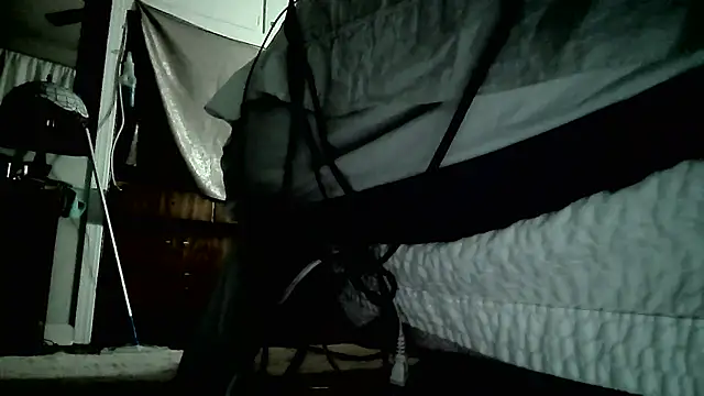 paiday online show from December 2024 07:05:02 PM