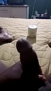 netswera147 online show from March 2026 11:14:01 AM