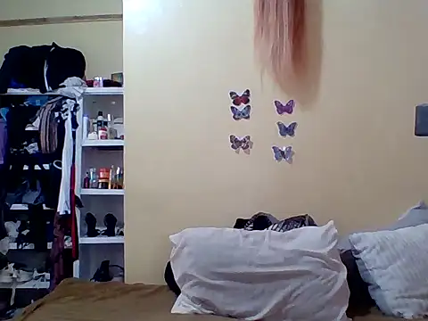 Zara Twilight online show from January 2026 11:26:01 AM