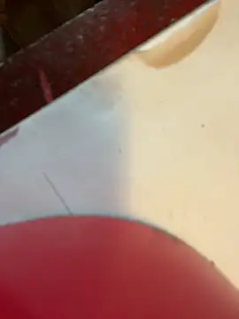 Snapshot of joeycbigcock chatting on January 2025 03:19:01 PM joeycbigcock online show from January 2025 03:19:01 PM