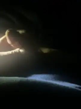 joeycbigcock online show from April 2026 02:25:02 AM