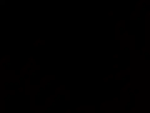 thatdude9 9 9 online show from March 2026 10:48:01 AM