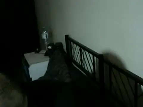 100Tauros online show from December 2025 01:52:02 PM