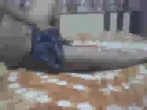 LoVer04All online show from October 2025 01:49:01 AM