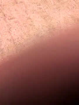 klownman1 online show from March 2025 06:00:02 PM