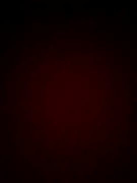 Snapshot of mendelicius chatting on February 2025 11:19:02 AM mendelicius online show from February 2025 11:19:02 AM