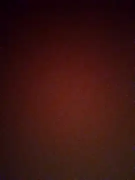 Snapshot of mendelicius chatting on February 2025 02:33:01 PM mendelicius online show from February 2025 02:33:01 PM