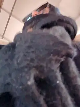 Morphine 666 online show from March 2026 07:16:02 AM