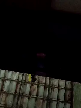 dantaradinho online show from January 2025 04:47:01 AM