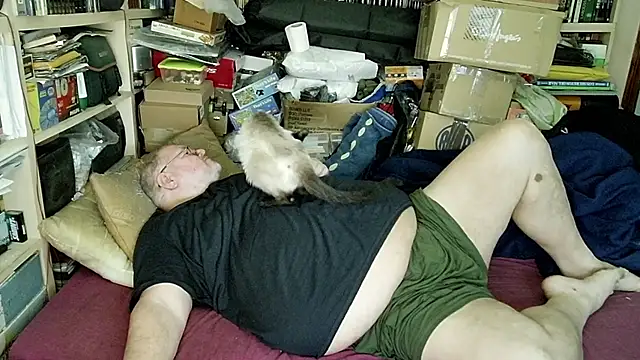 hadeszeuss2 online show from February 2025 05:30:02 PM