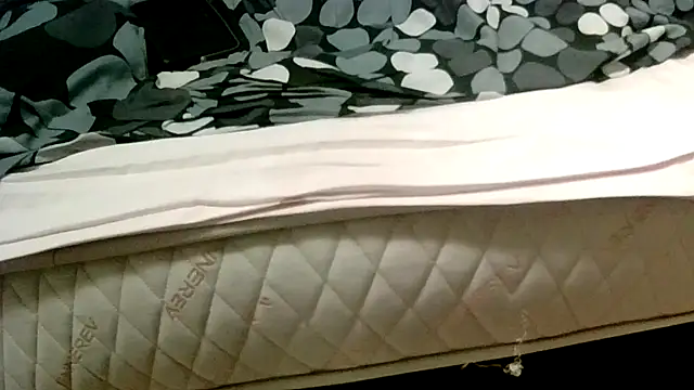 Snapshot of robertone80 chatting on March 2025 02:30:02 AM robertone80 online show from March 2025 02:30:02 AM