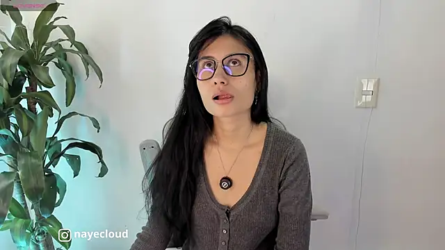 Snapshot of NayeCloud chatting on May 2026 02:57:01 PM NayeCloud online show from May 2026 02:57:01 PM