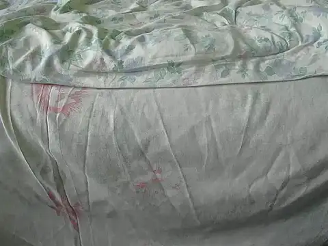 Tiger202441 online show from December 2024 10:08:02 AM