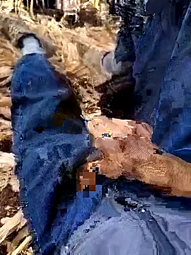 murokkk31 online show from December 2025 08:34:01 AM