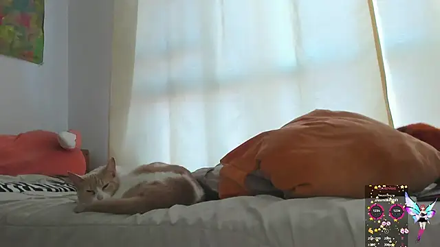 linnie  online show from January 2025 11:55:01 AM