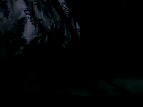 WHITEDAROSE online show from February 2025 10:01:02 AM