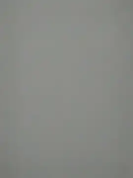 Snapshot of TheSouthernKing chatting on December 2024 12:12:02 PM TheSouthernKing online show from December 2024 12:12:02 PM