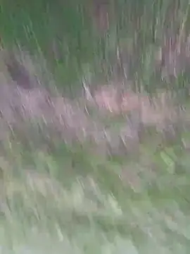 Vanesskaa online show from April 2026 03:09:01 PM