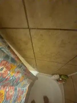 alxcol online show from December 2025 04:42:02 AM