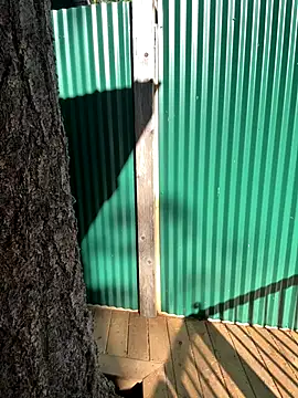 twist699 online show from November 2025 06:07:02 PM