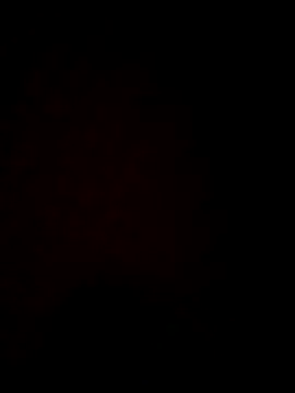YoursAashi online show from January 2025 02:25:02 AM