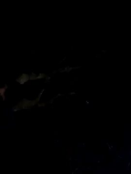 Wildherb244 online show from December 2024 01:36:02 AM