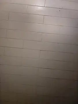 Wildherb244 online show from December 2024 02:26:02 PM