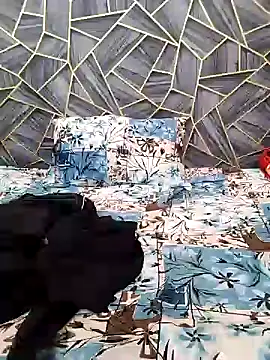 Snapshot of Diya_Chopra chatting on December 2024 04:45:01 AM Diya Chopra online show from December 2024 04:45:01 AM