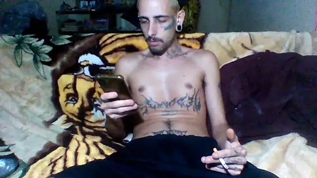 sellvageria online show from November 2025 10:34:02 PM