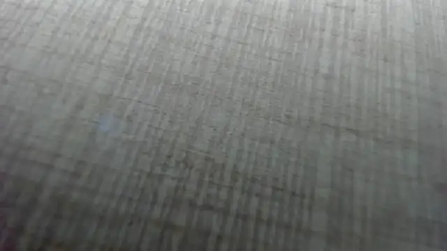 AishaRouhi online show from February 2026 05:11:01 AM