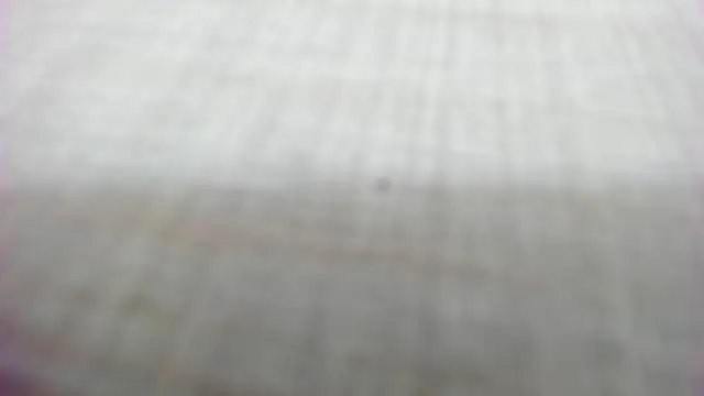 AishaRouhi online show from February 2026 05:26:02 AM