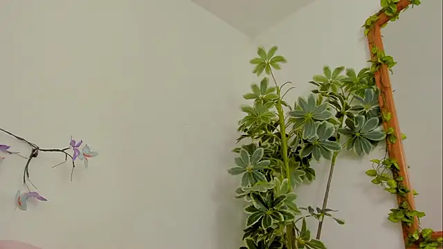 BonnieCute  online show from March 2026 11:41:01 PM