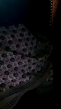 Hotsarina online show from December 2024 02:23:02 PM