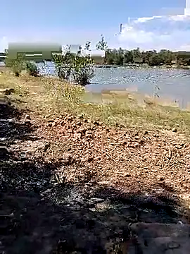 BaseDick online show from September 2025 10:07:02 AM