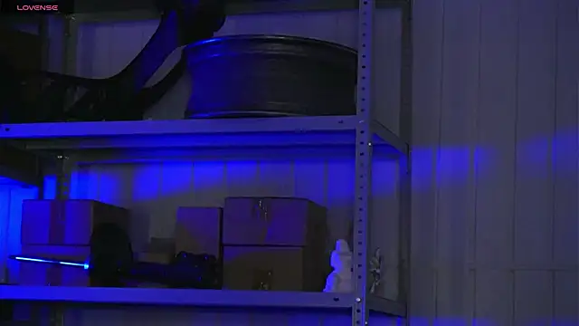 dustyn fox online show from March 2026 03:04:01 PM