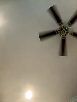 ThicBunz online show from December 2025 04:46:01 PM