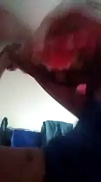 adriel perez online show from December 2024 11:55:02 AM