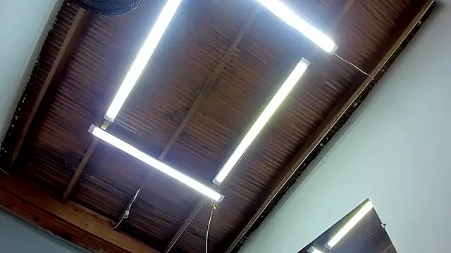 Snapshot of esteban_cor chatting on January 2025 06:42:01 AM esteban cor online show from January 2025 06:42:01 AM